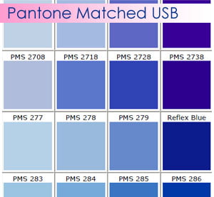 Pantone Matched Branded USB Shell