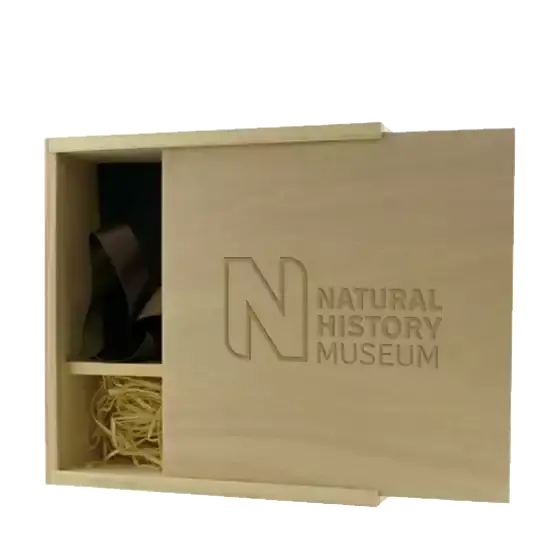Large Wooden USB Photo Box with your branding